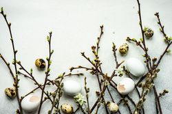 Easter card concept with cherry blossom branches and a variety of eggs