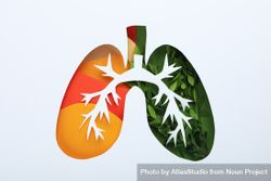 Lung shape cut out of paper with bronchus and green and orange color underneath 5QGnGb