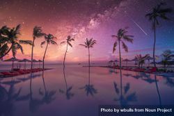 Beautiful night sky with silhouette of palm trees by the pool 5QAgV5