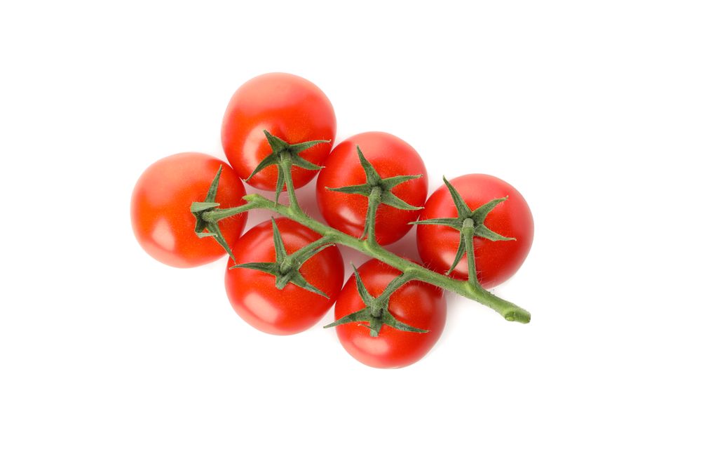 Branch of fresh tomatoes isolated on plain background