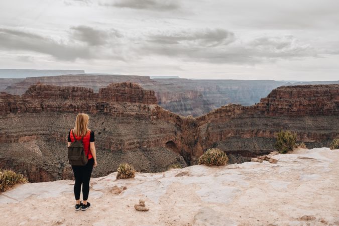 Calm female looking at pictorial landscape