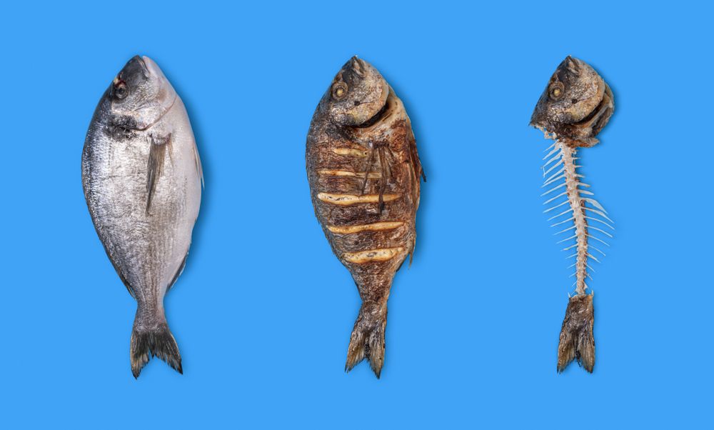 Cooking dorado fish collage, above view