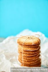 A stack of wrapped cookies for gifting 4BMrM5