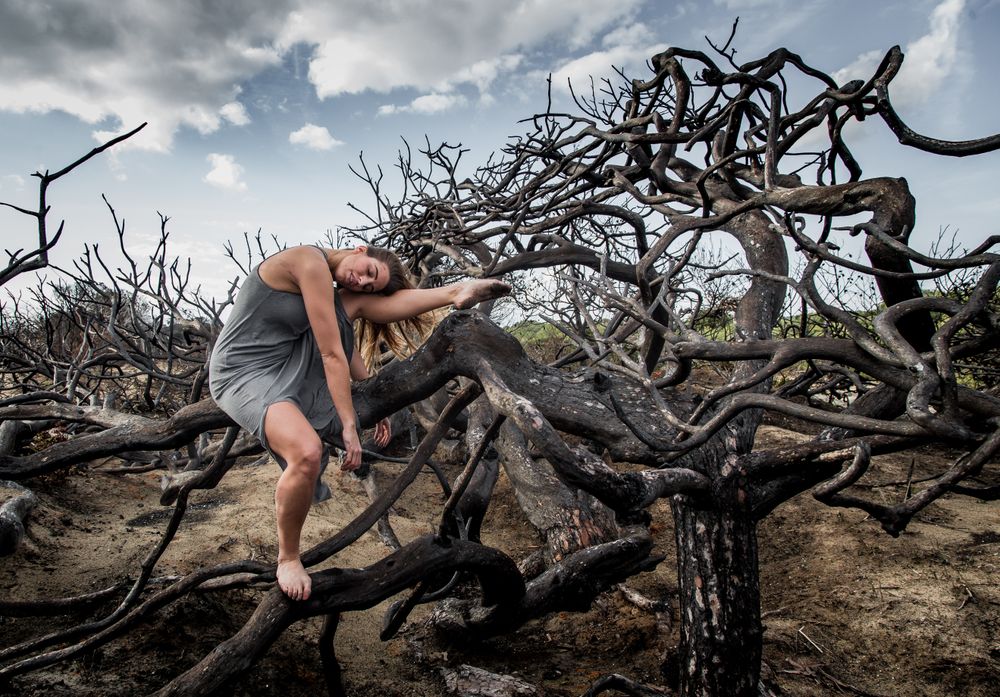 Woman posing on twigs of dry trees