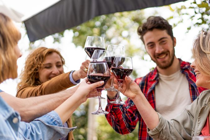 Happy friends having fun drinking red wine in vineyard