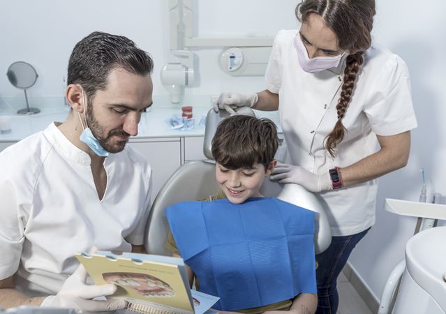 Male dentist shows structure of the tooth to little boy