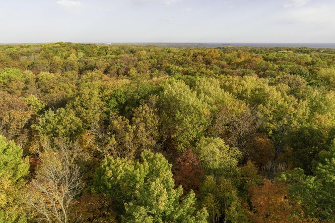 View from the Kathio Observation Tower at Mille Lacs Kathio State Park in Minnesota