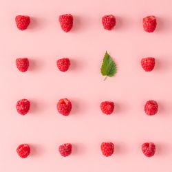 Pattern of raspberries with nettle leaf on pink background
