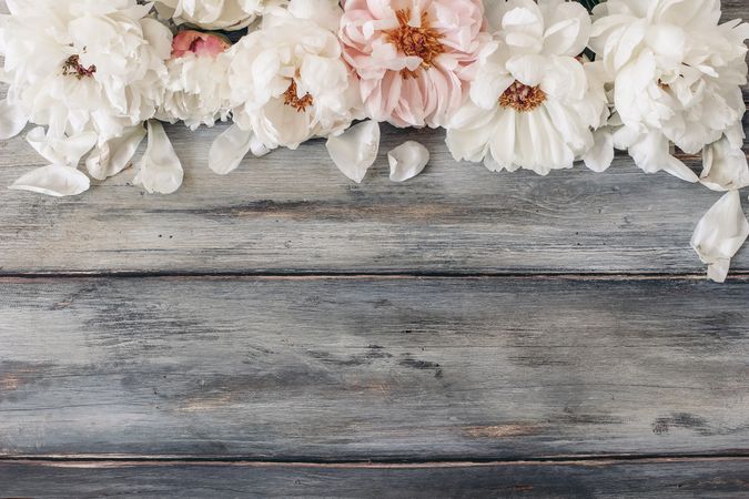 Frame of pastel peonies on wooden table