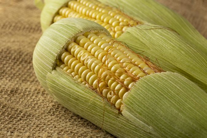 Green corn on the wooden table.