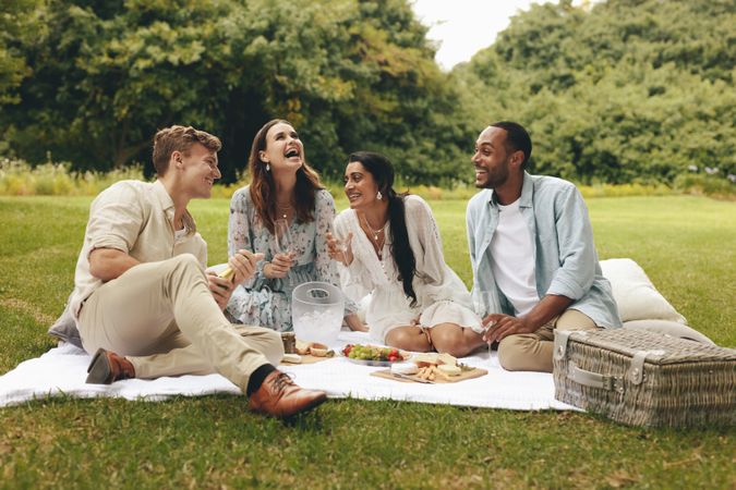 Group of friends sharing a picnic at the park