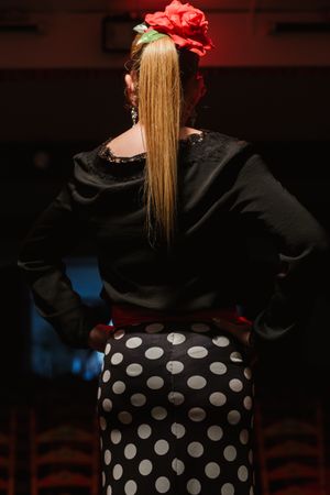 Woman dancer in flamenco costume standing in dance posture