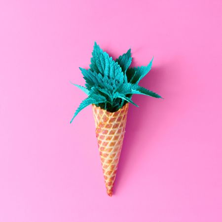 Nettle leaves in waffle cone on pink background