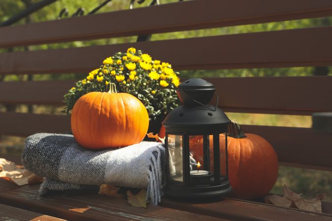 Cozy autumn concept outdoor in the park