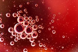 Abstract pink and red water bubbles