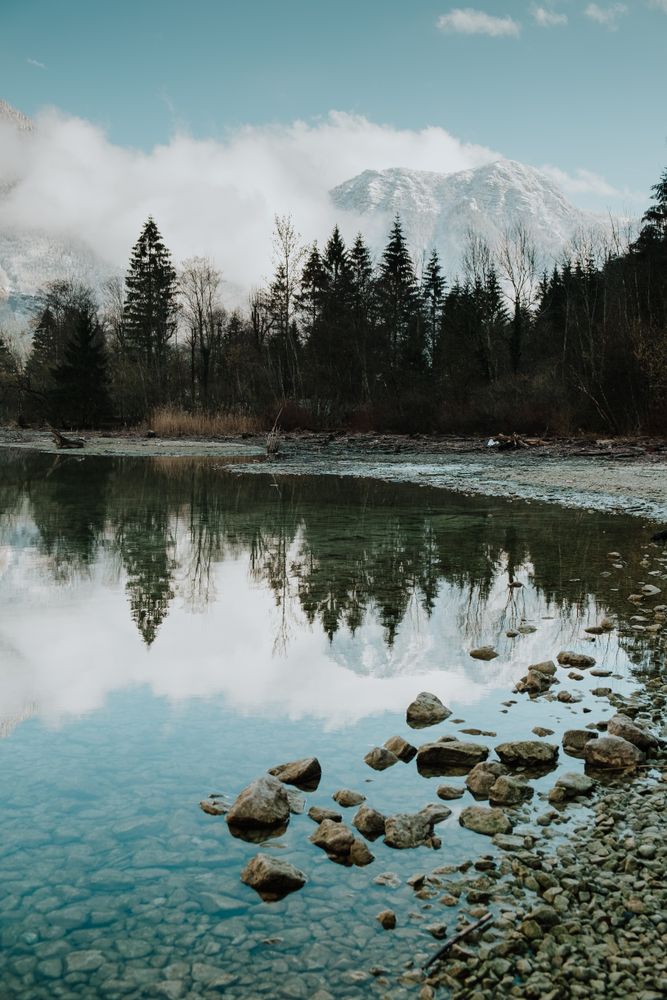 Picturesque shore with forest and crystal lake reflecting tree and sky
