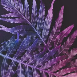Tropic purple leaves layout