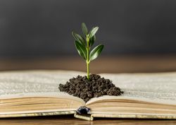 Book with plant growing in center