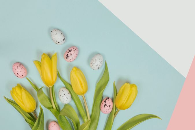Fresh yellow flowers and easter eggs with green leaves