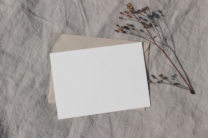 Blank greeting card, invitation mockup with dry flower and craft paper envelope