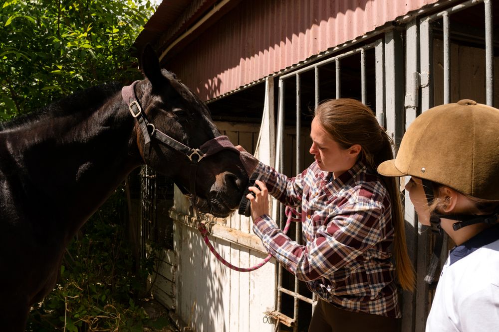 Woman and child together grooming horse outside