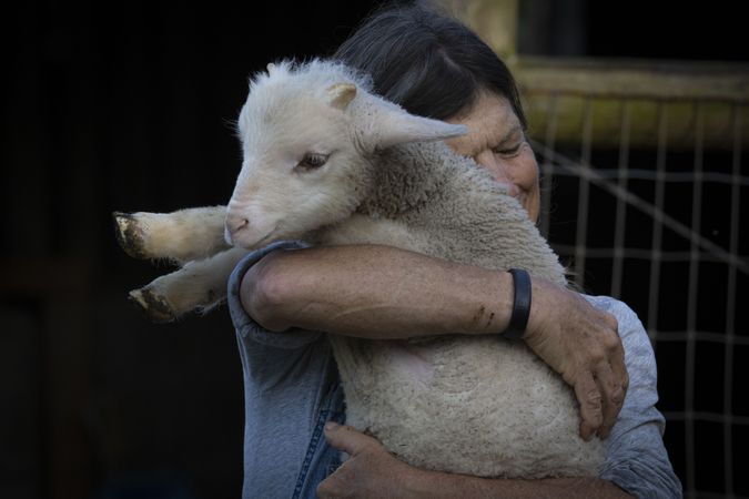 Dominique Herman cuddles a baby lamb from her flock