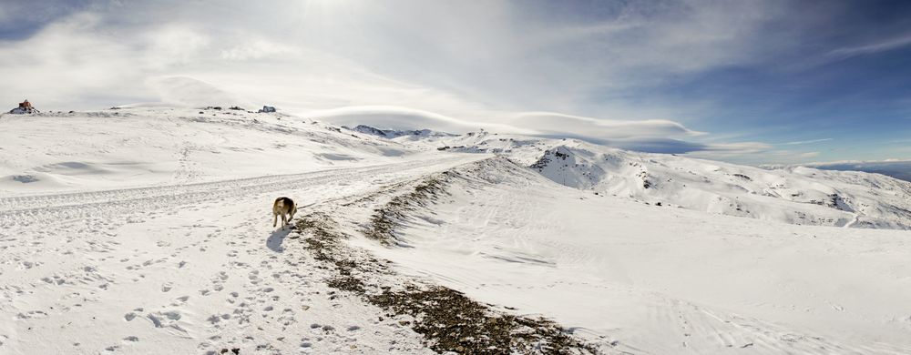 Snowy ridge in ski resort of Sierra Nevada in winter