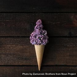 Ice cream cone with purple lilac on wooden background 0WxG65