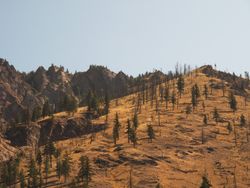 Desert Terrain