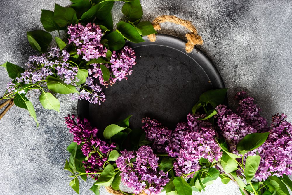 Top view of plate with lilac flowers