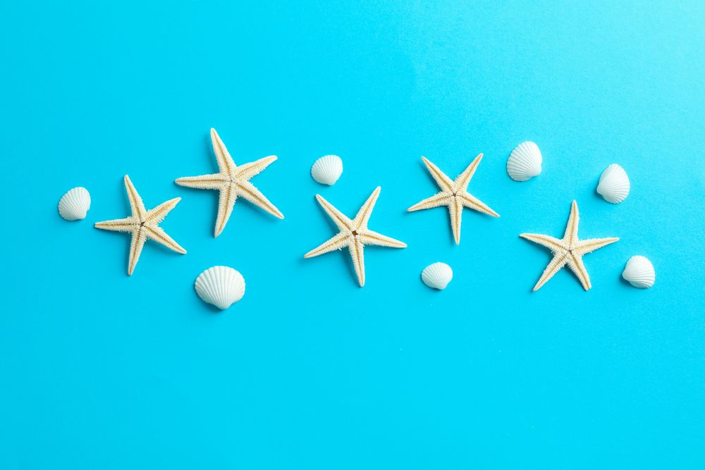 Flat lay composition with starfishes and seashells on color background, space for text
