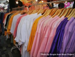 Colorful women's assorted plain shirts 4dWql5