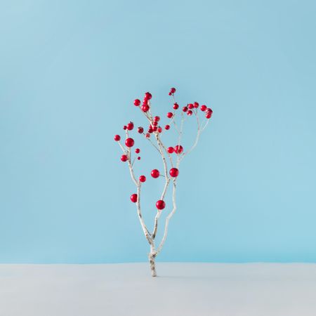 Christmas tree made of winter snowy branch and red decorations on blue background