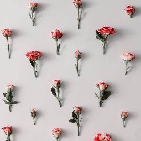 Colorful flowers pattern on light  background
