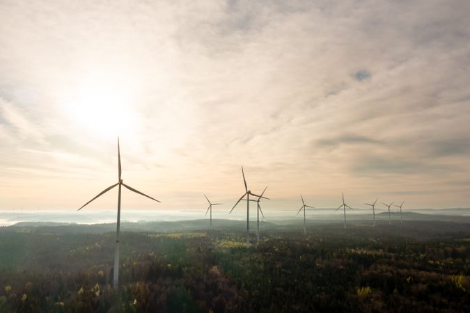 Aerial view with wind turbines farm inside a forest at sunrise