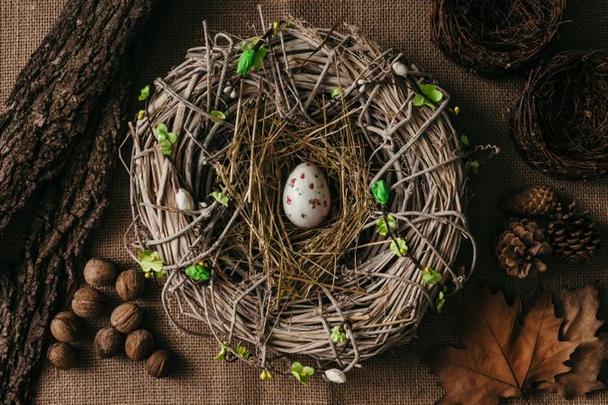 Decorated Easter egg in bird nest