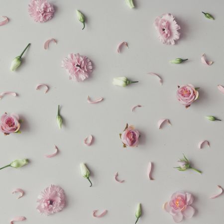 Flowers and leaves on marble background
