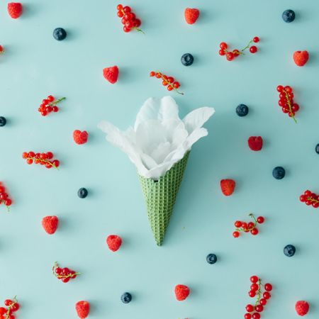 Flower in green waffle cone on blue background with berries