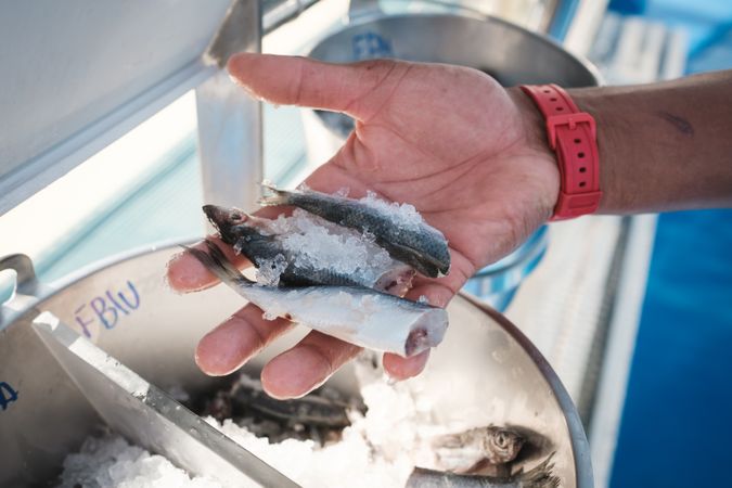Faceless man with frozen fish in hand