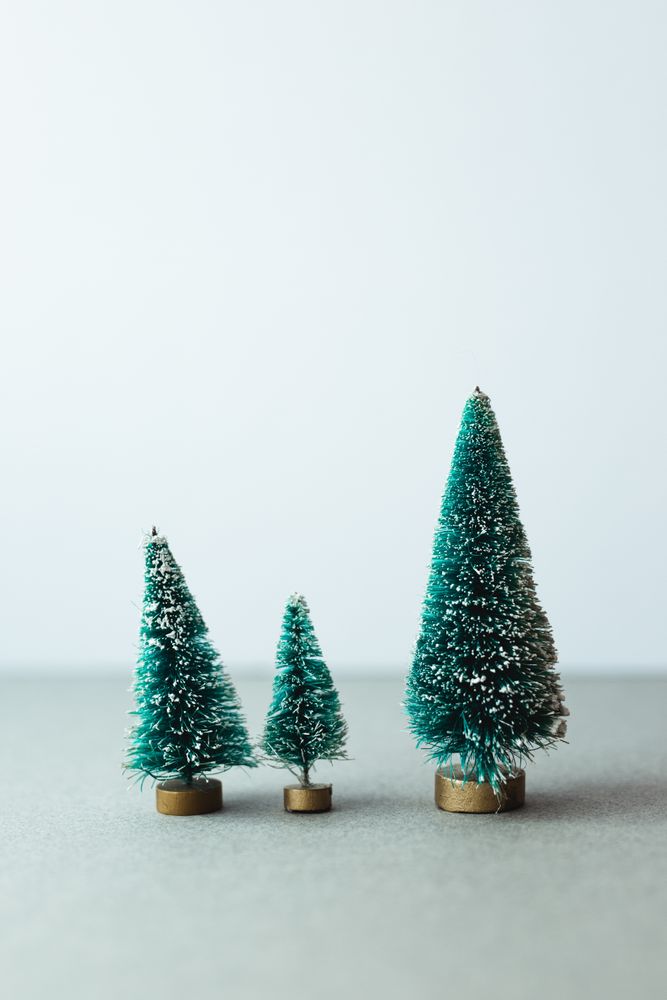 Small artificial Christmas trees on wooden stand