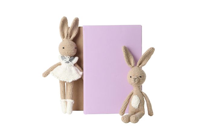 children's book, with toys, isolated on light background.