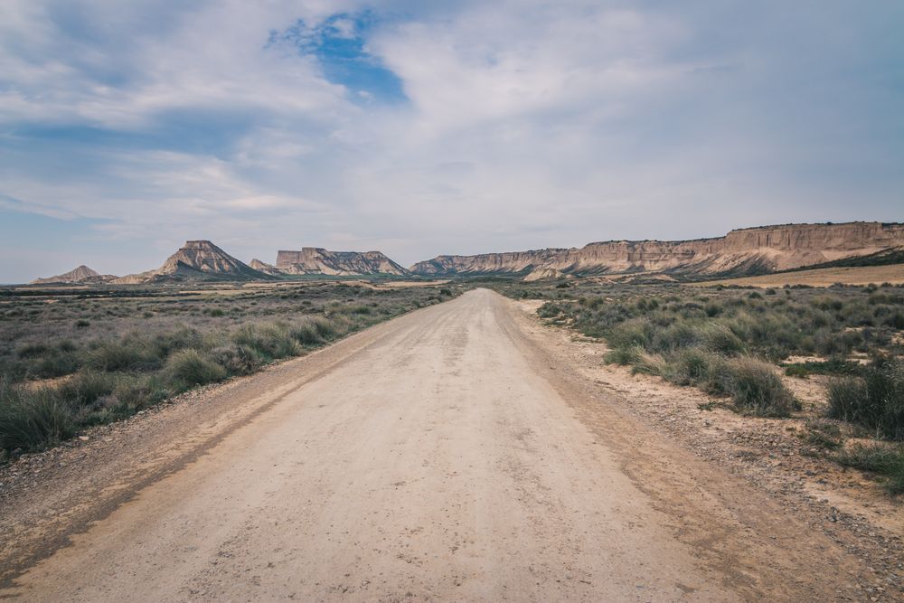Empty road in desert with dry vegetation