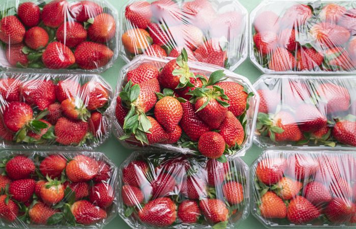 Ripe strawberries in plastic wrapped boxes