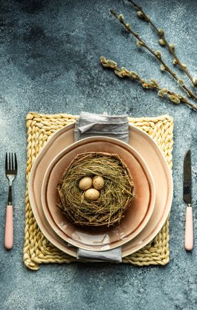 Top view of decorative eggs in delicate nest on ceramic pink plate on placemat with pussy willow with copy space