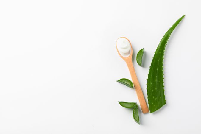 Flat lay composition with natural treatment accessories on plain background, space for text. Aloe vera