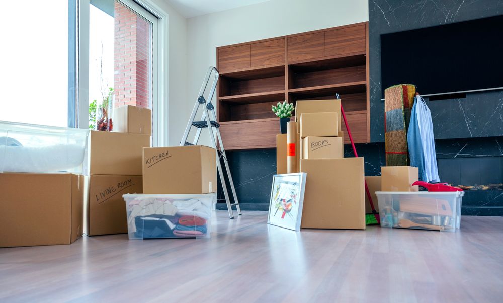 Living room with moving boxes