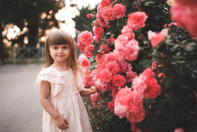Girl standing beside red rose tree outdoor