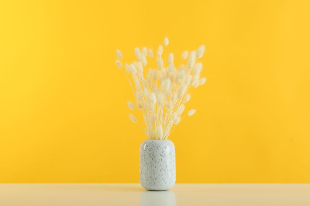 Speckled vase filled with dried bunny tail flowers in yellow room