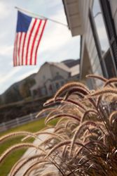Modern Home Yard Abstract with American Flag.