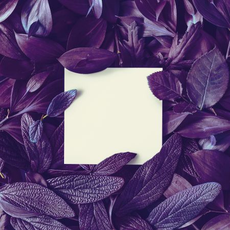 Tropic purple leaves layout with  card